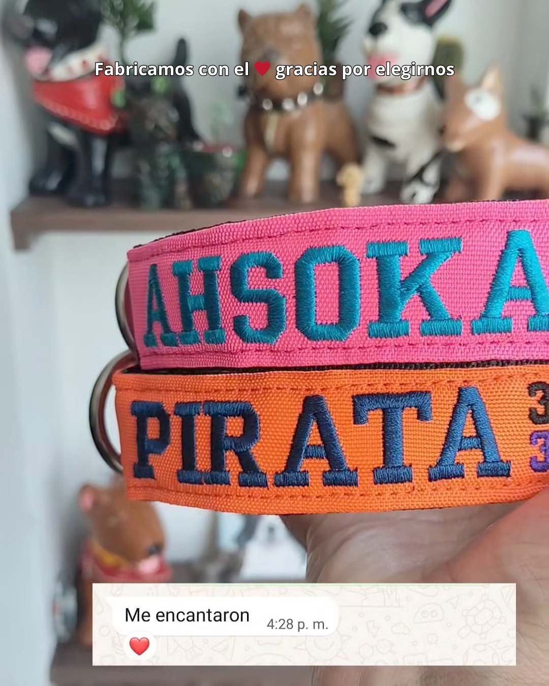 testimonio collar